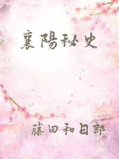 襄阳秘史