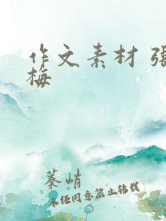 作文素材 张桂梅