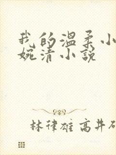 我的温柔小姨宋婉清小说