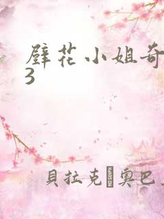 壁花小姐奇遇记3