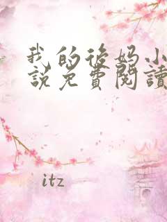 我的后妈小姨小说免费阅读