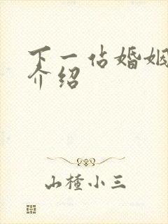 下一站婚姻剧情介绍