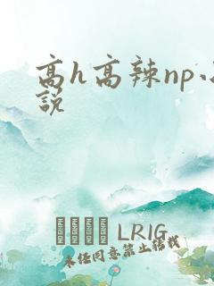 高h高辣np小说