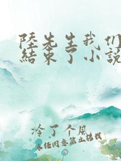 陆先生我们终于结束了小说免费阅读