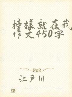 榜样就在我身边作文450字