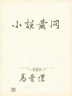 小说黄网