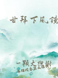 甘拜下风镜子