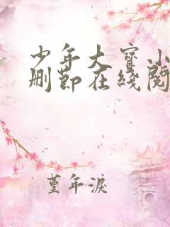 少年大宝小说未删节在线阅读