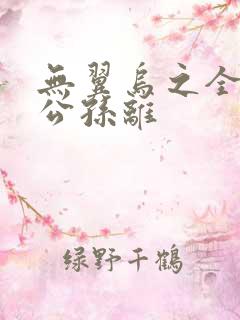 无翼乌之全荣耀公孙离