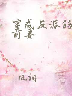 穿成反派的炮灰前妻