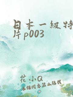 日本一级特黄大片p003