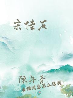宋佳友