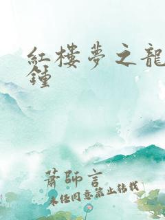 红楼梦之龙套秦钟
