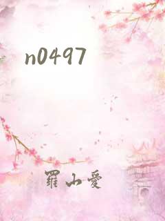n0497