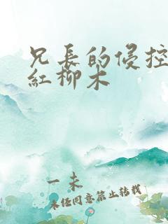 兄长的侵控by红柳木
