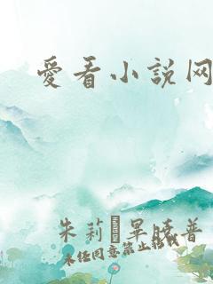 爱看小说网