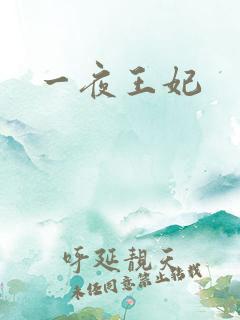 一夜王妃