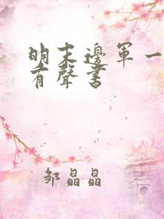 明末边军一小兵有声书