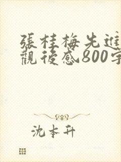 张桂梅先进事迹观后感800字范文5篇