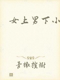 女上男下小说