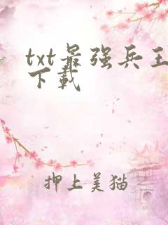txt最强兵王下载