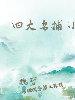 四大名捕 小说