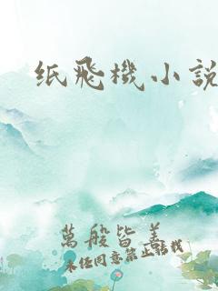 纸飞机小说