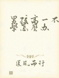男孩高一不想上学怎么办
