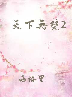 天下无双2