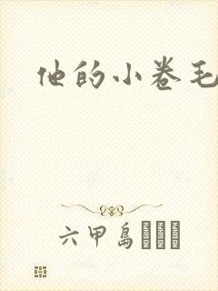 他的小卷毛
