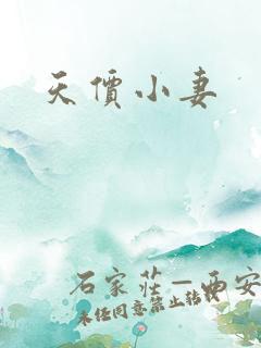天价小妻