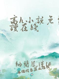 高h小说免费阅读在线