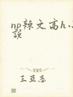 np辣文高h小说
