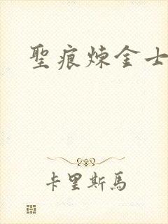圣痕炼金士24