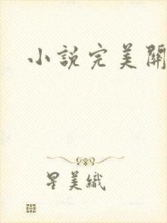 小说完美关系