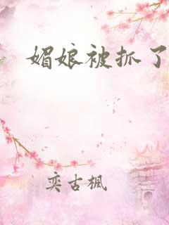 媚娘被抓了