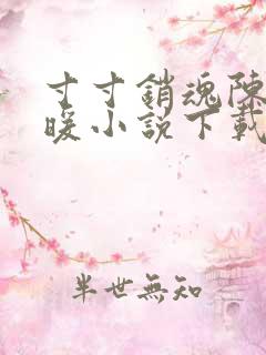 寸寸销魂陈聪王暖小说下载