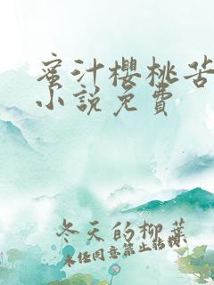 蜜汁樱桃苦咖啡小说免费