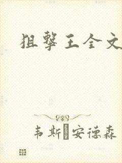 狙击王全文阅读