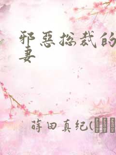 邪恶总裁的替身妻