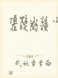 顶点小说 小说在线阅读