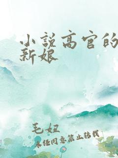 小说高官的暗夜新娘