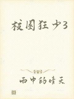 校园狂少3