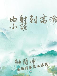内射到高潮的H小说