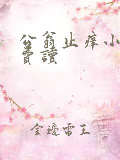公翁止痒小说免费读
