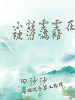 小说雯雯在工地被灌满精