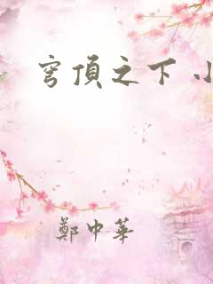 穹顶之下 小说