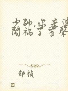 少帅,你老婆又闯祸了有声小说免费收听