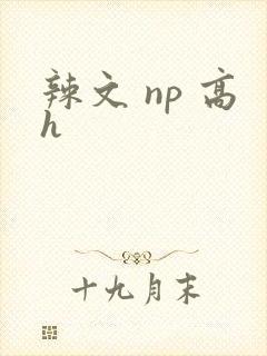 辣文 np 高h