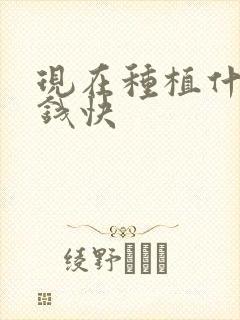 现在种植什么挣钱快
